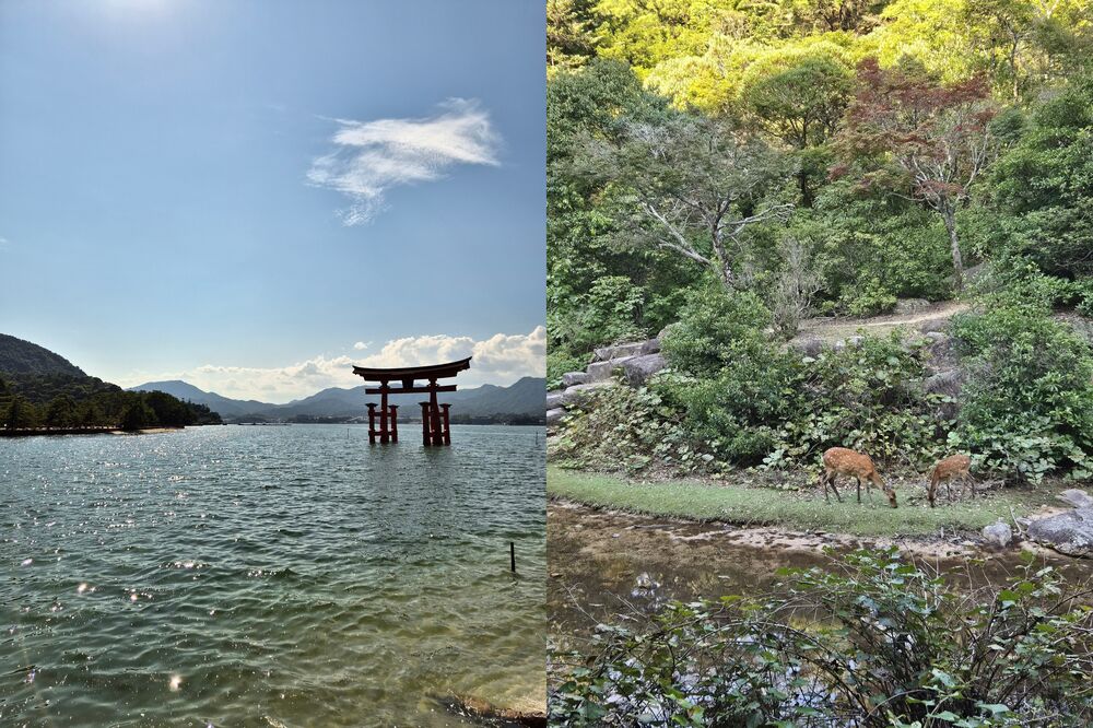 Isola di Miyajima